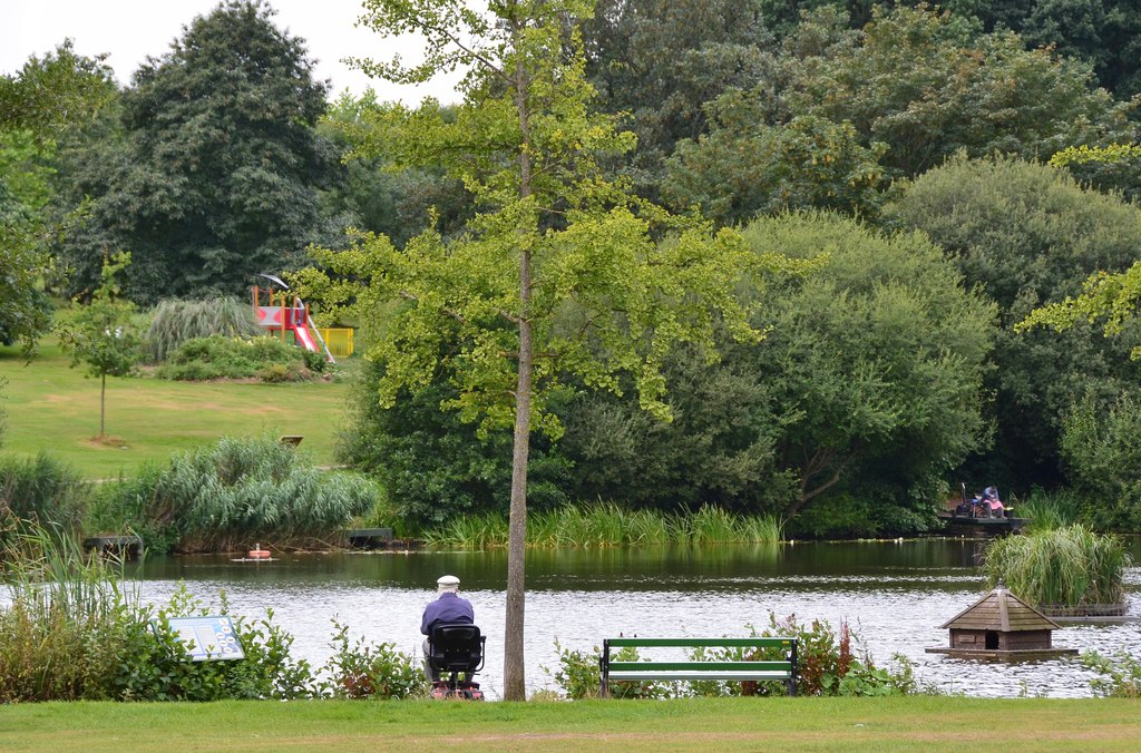 Acton Park Pond